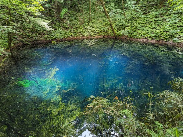 2023-06-14 十二湖（日本）2793210