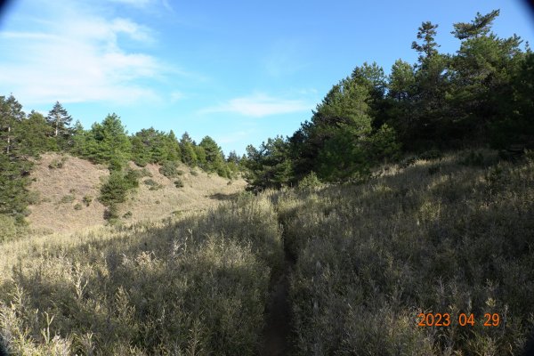 南投 仁愛 武法奈尾山2133782