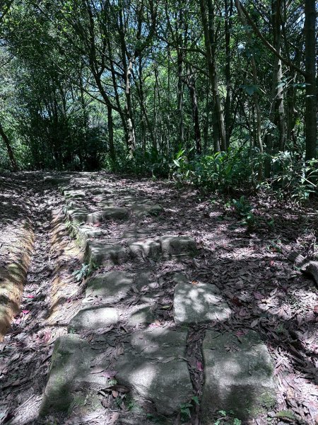 台北大縱走第四段2766862