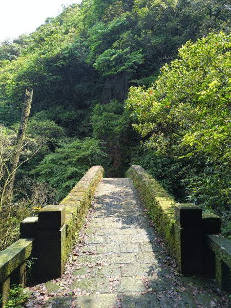 2025.04.27－金包里大路~小油坑縱走2770897