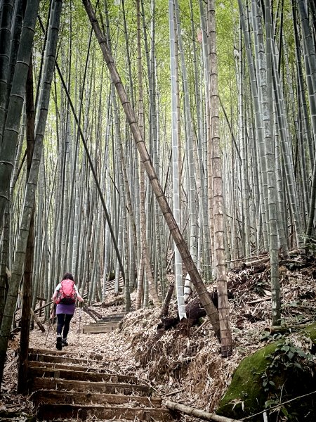 嘉南雲峰石壁山 順遊 雲嶺之丘 202210151889776