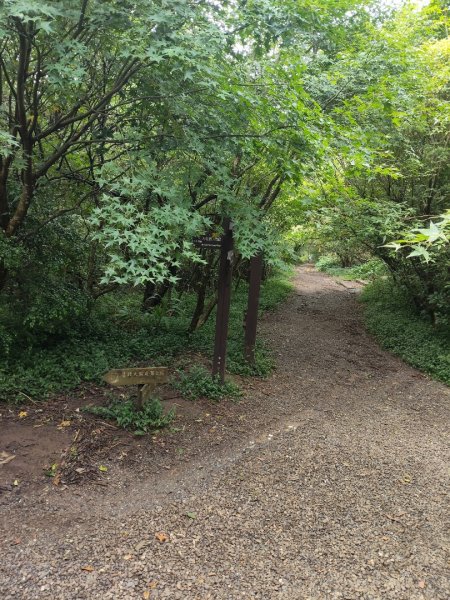 臺北大縱走第二段：二子坪至小油坑2849784