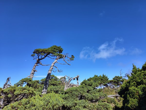 北一段(11/14)南湖北峰 2025_0906~132887311