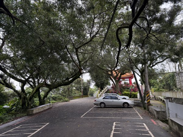 [微笑山線_第三段] 2026_0328 鳶山山系_福德坑山3025560