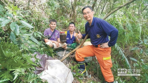 【新聞】專家登石牛山 摘除虎頭蜂窩