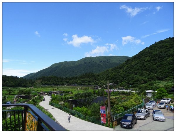 竹子湖/頂湖環狀步道986710