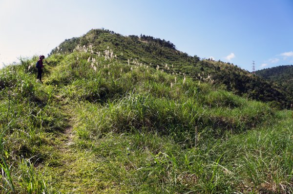 鵲子山(鴻子山)780754