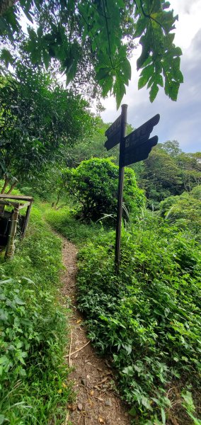 2024-06-15觀音山【福隆山、尖山(占山)登山步道】O走2528209