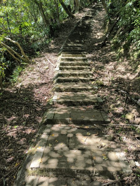 20251010微笑山線：【五分山系】菁桐煤礦段2910197