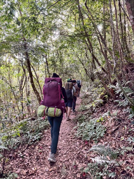 2025.11.30 西巒大山2952292