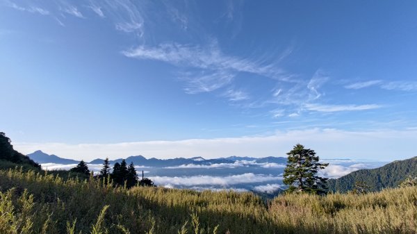 雪山主東峰步道2801381