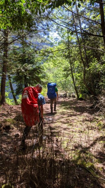 【西巒大山】雙龍林道巒安堂973846