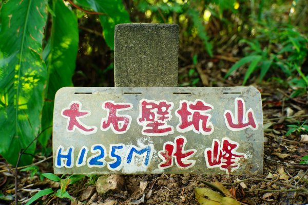 新北-宜蘭 大石壁坑山、五酒桶山、龍崗山、灣坑頭山3090330