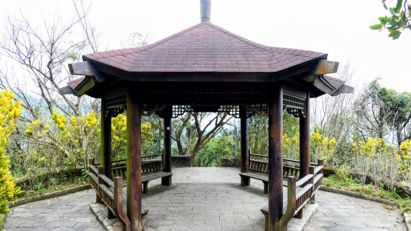 《臨江仙・碧山巖櫻花》2714226