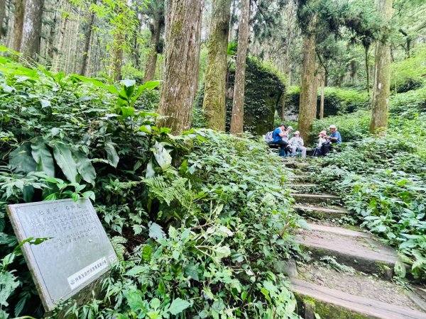 1150926霹靂山-大凍山O繞3129940