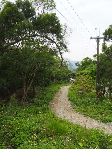 台中大坑頭嵙山4-5-3-3_1號O型904086