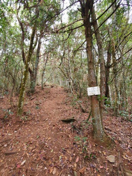 【埔里六秀之首】守城大山1291112