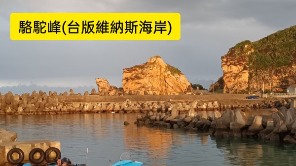 2/8駱駝峰稜線步道-野柳山-野柳港山-大單面山-野柳里登山步道環走(二刷)