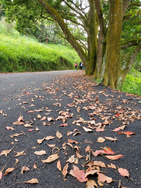 【南投|貓囒山】1049755