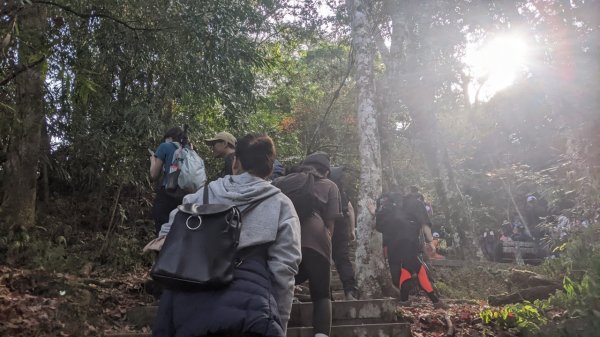 馬那邦山步道(珠湖登山口上)1585907