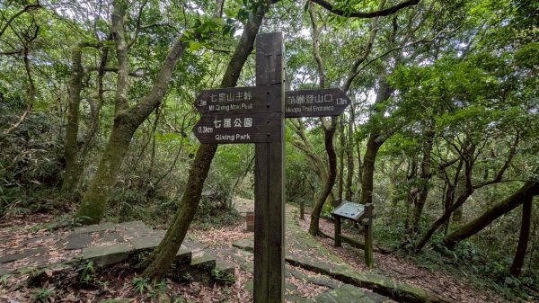 114.07.13三進三出七星山之旅2837154