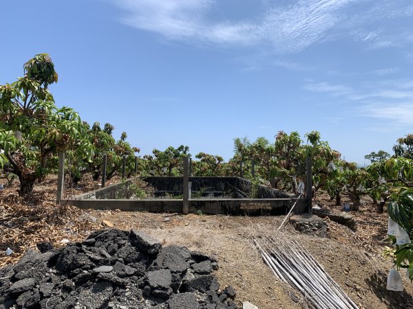 20250503屏東埔姜山2781503