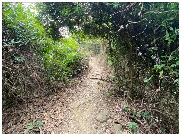 旗靈縱走(旗尾山、福美山、金字面山、人頭山、靈山)2996473