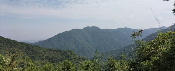 烏來大桶山2141923