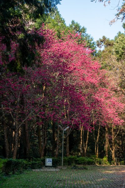 ❤ 再見~北港溪峽谷2719096