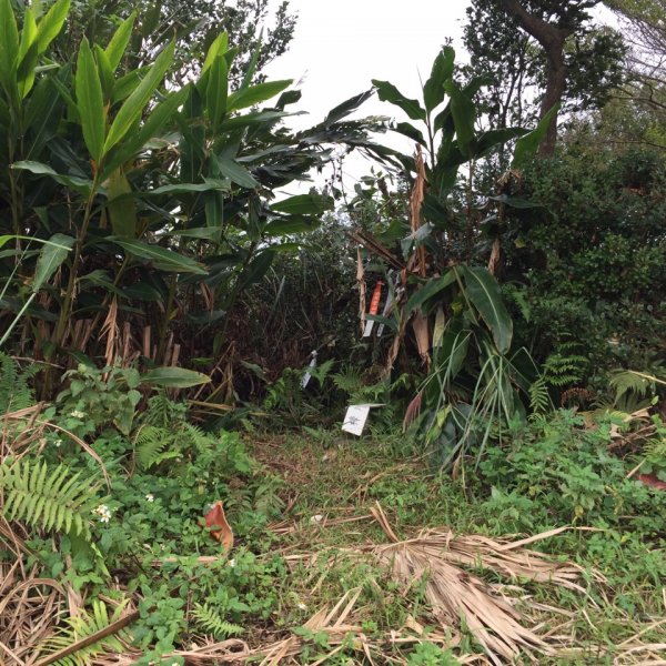 北縱七段抓了10隻博蒂742218