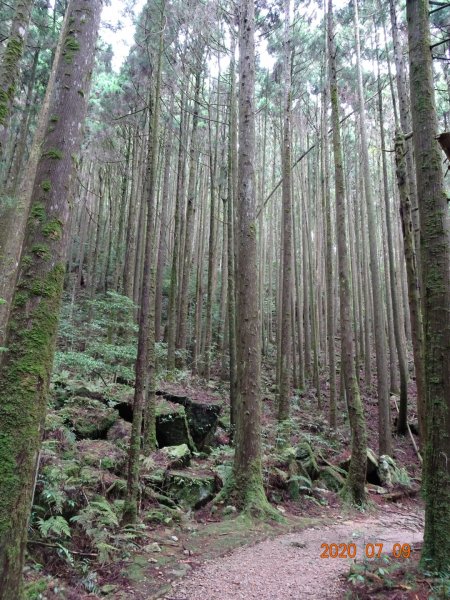 橫嶺山自然步道2020.07.091029060