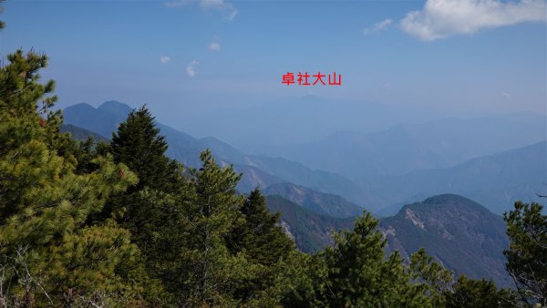 山行漫遊郡大林道上的清水金子郡大三美山1341645