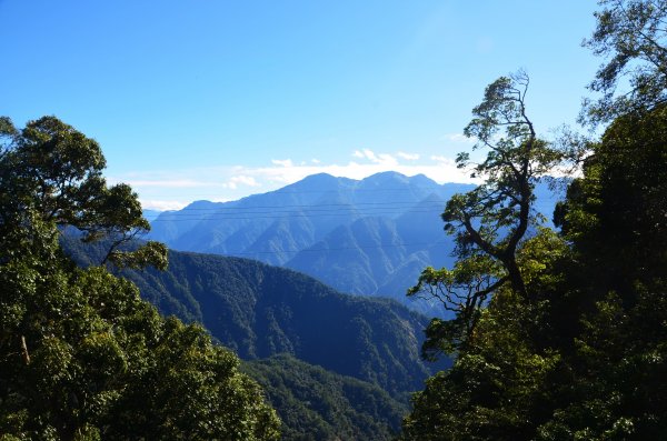 稍來山 & 分桂林山1923172