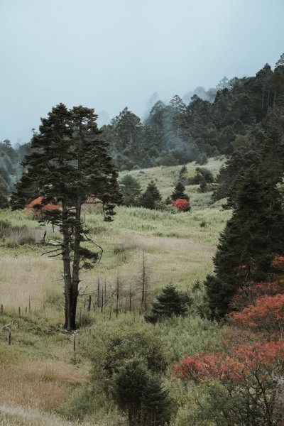 2021末的雪山初雪1523661