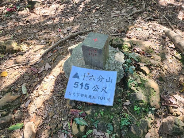20240114指南宮站經猴山岳二格山鵝角格山至貓空站2430827