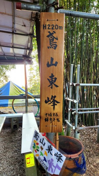 三峽鳶尾山，鳶山東峰，桃園神社，土城彈藥庫舊址探險，新北大都會公園，新店二叭子植物園，外挖子山1910438