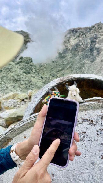 陽明山之美💙擎天崗--大油坑-挑硫古道2515247