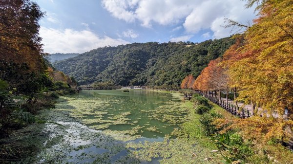 望龍埤,鎮頭山,蜊埤湖2391879