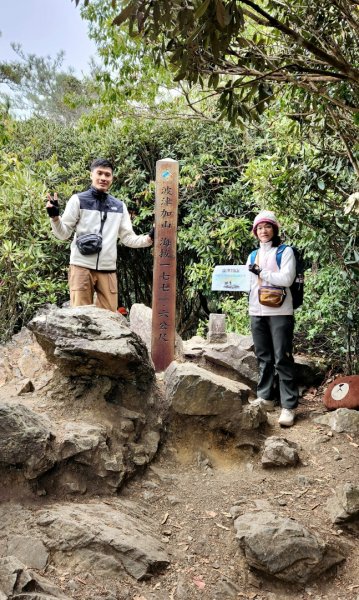 波津加山，太平蝙蝠洞延伸步道，福田賞桐生態步道，美崙山步道，台東鯉魚山2005059