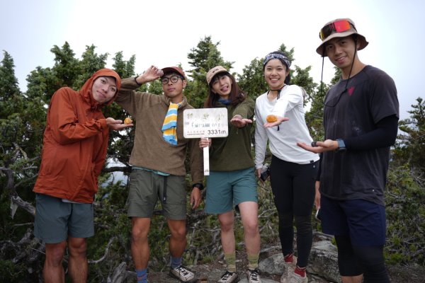 【新康橫斷】新康橫斷出瓦拉米2672363