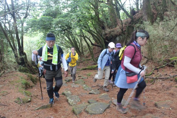 20240518嘉義鹿林山-鹿林前山-石山2508100