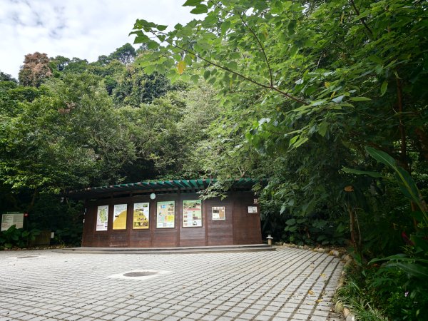 [淡蘭古道] 2026_0523 南路第一段_富陽自然生態步道3069292