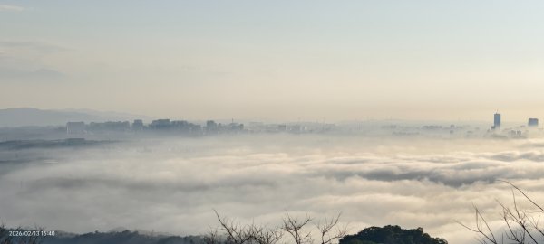 #觀音山 #雲海 #夕陽 #天空之城 #大赤鼯鼠（飛鼠） 2/132999431