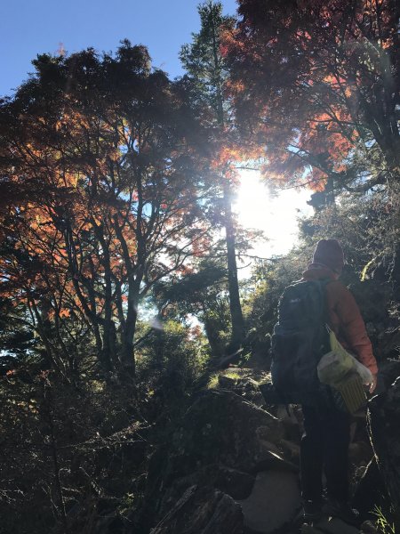 雪山 不下雪532992