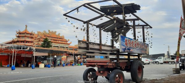 《彰化》海空夕照｜王功燈塔及芳苑海空步道健行賞冬候鳥202601102980271