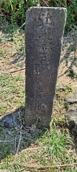 基隆山步道1274941