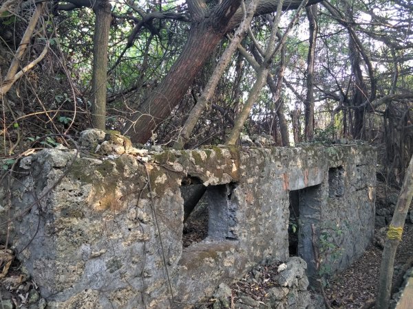 南山神壽任務-旗后(後)山景觀步道1366753