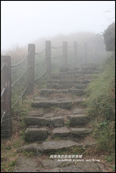 七星山東峰步道472900