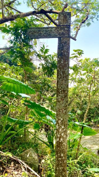 龍麟山登山步道2730747