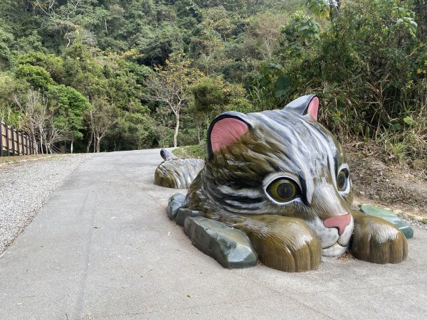 《雪山坑登山步道｜巨人之手森林秘境 Xueshankeng Hiking Trail & Giant2971159